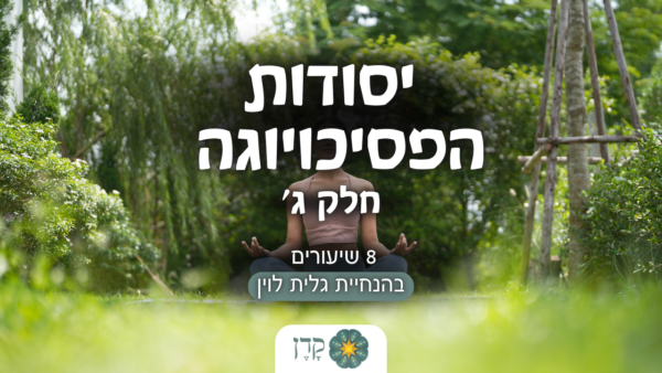 יסודות הבפסיכויוגה